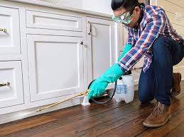 Best Residential Pest Control  in Belvedere, CA